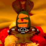 Load image into Gallery viewer, Tritatva – 925 Silver Rudraksha Bracelet