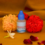 Load image into Gallery viewer, Tritatva – 925 Silver Rudraksha Bracelet